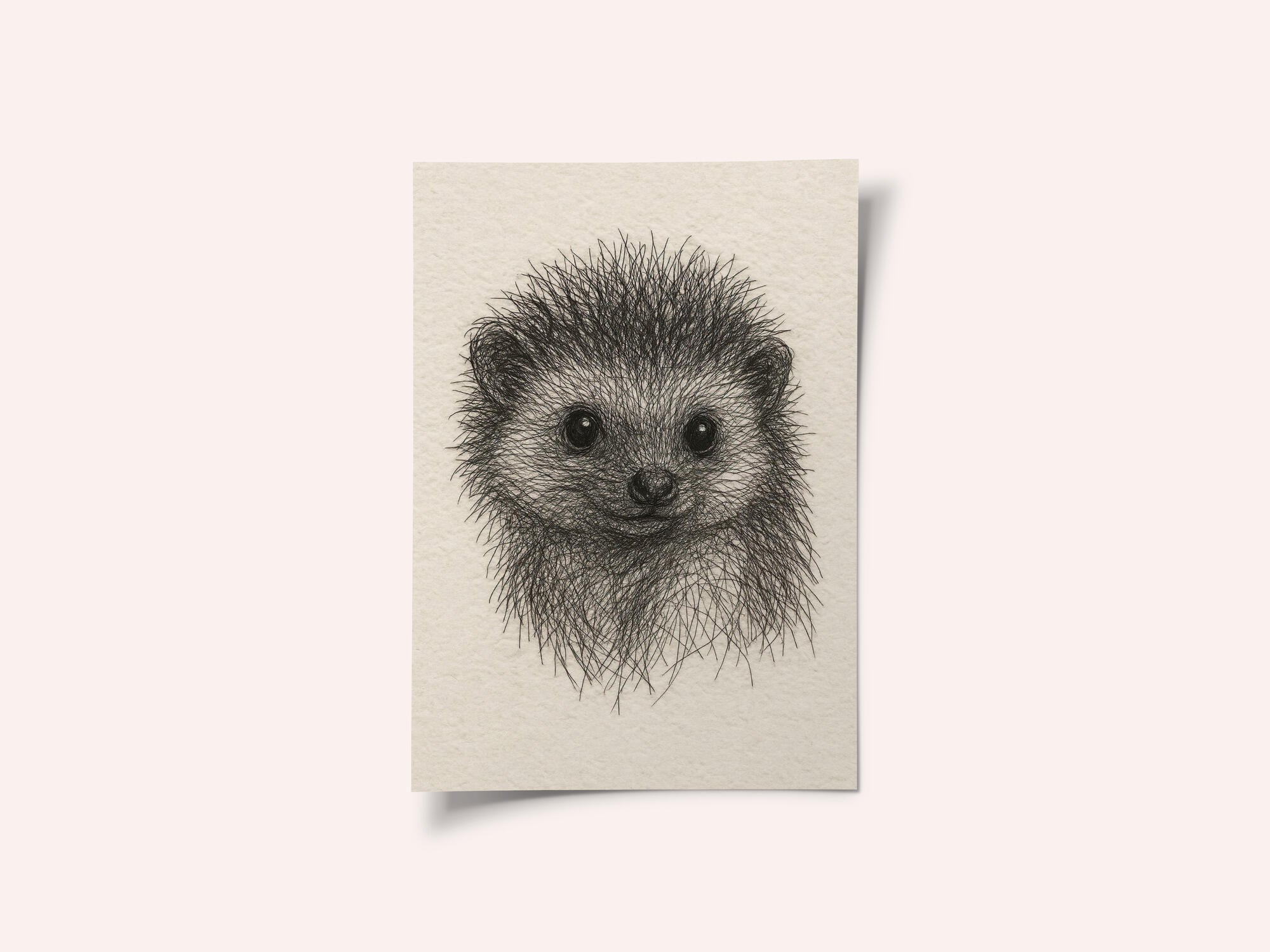 Baby Hedgehog Sketch