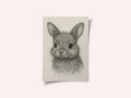 Cute Little Bunny Drawing