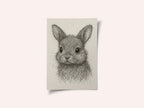 Cute Little Bunny Drawing