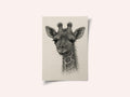 Thread portrait baby giraffe on handmade paper