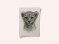 Cute Lion Cub Sketch