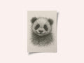 Fluffy Panda Cub
