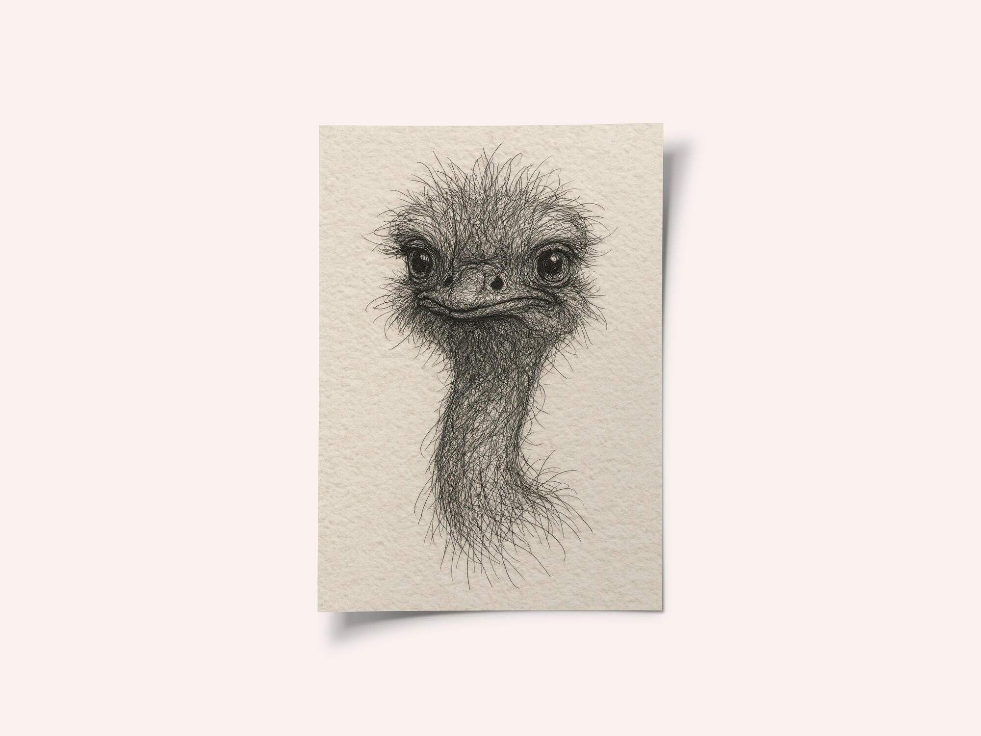 Friendly Emu Sketch