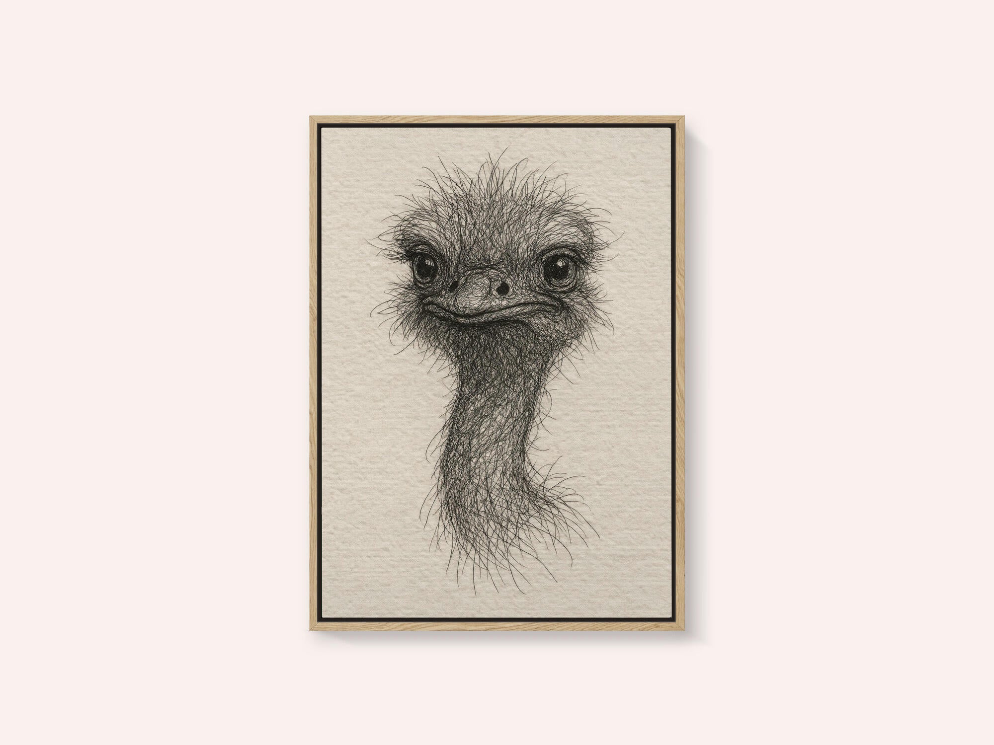 Friendly Emu Sketch
