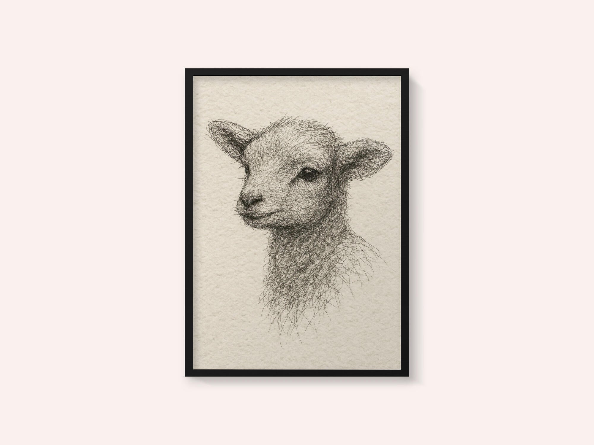 Gentle Lamb Drawing