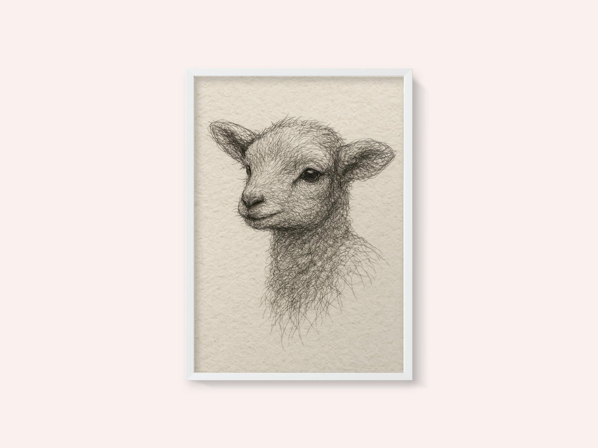 Gentle Lamb Drawing