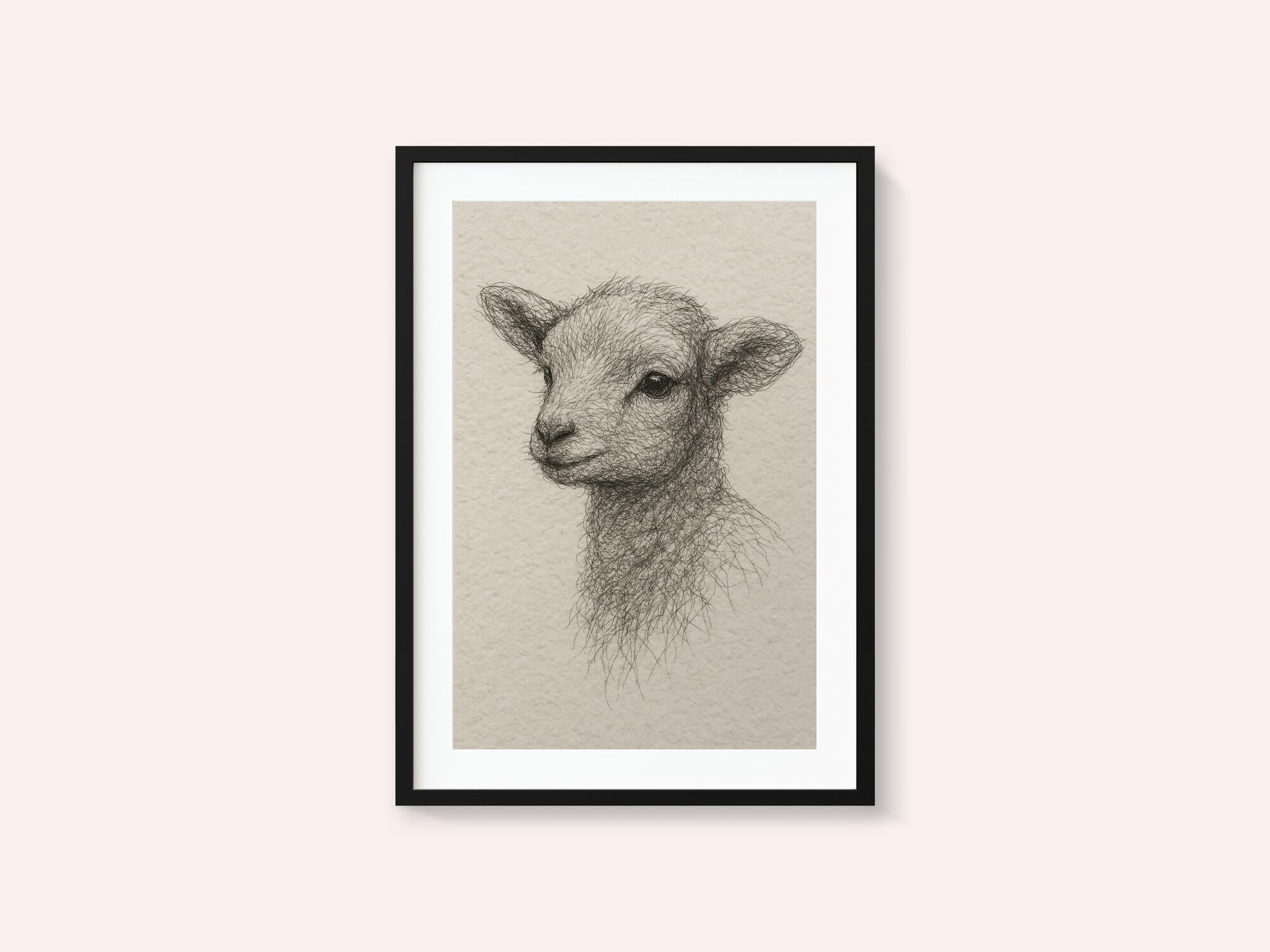 Gentle Lamb Drawing