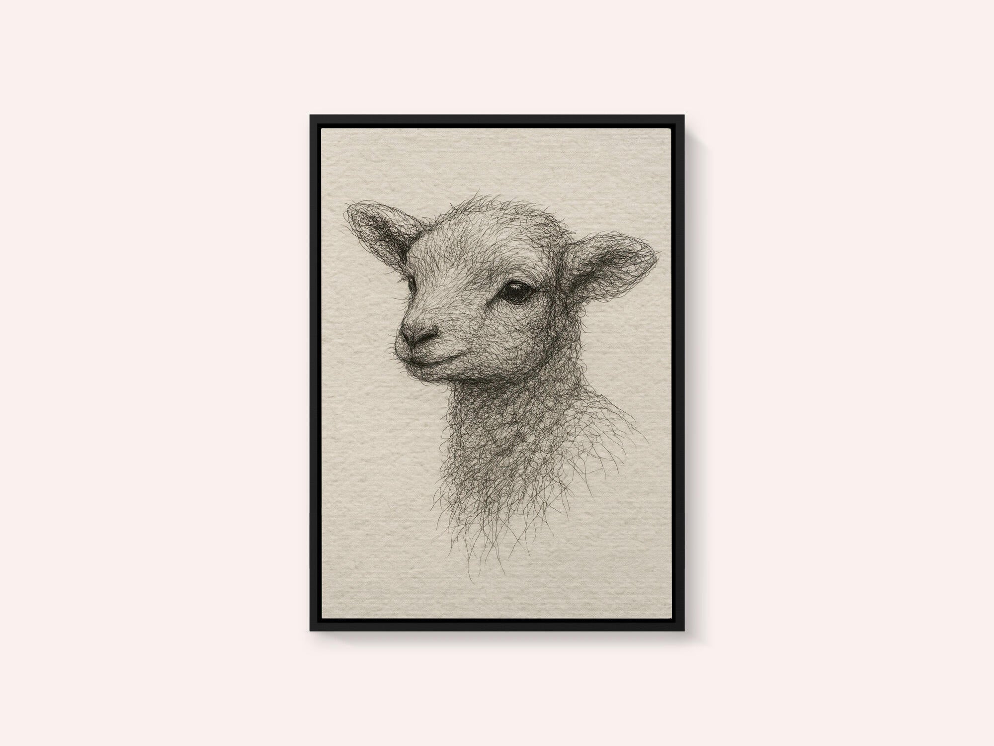 Gentle Lamb Drawing