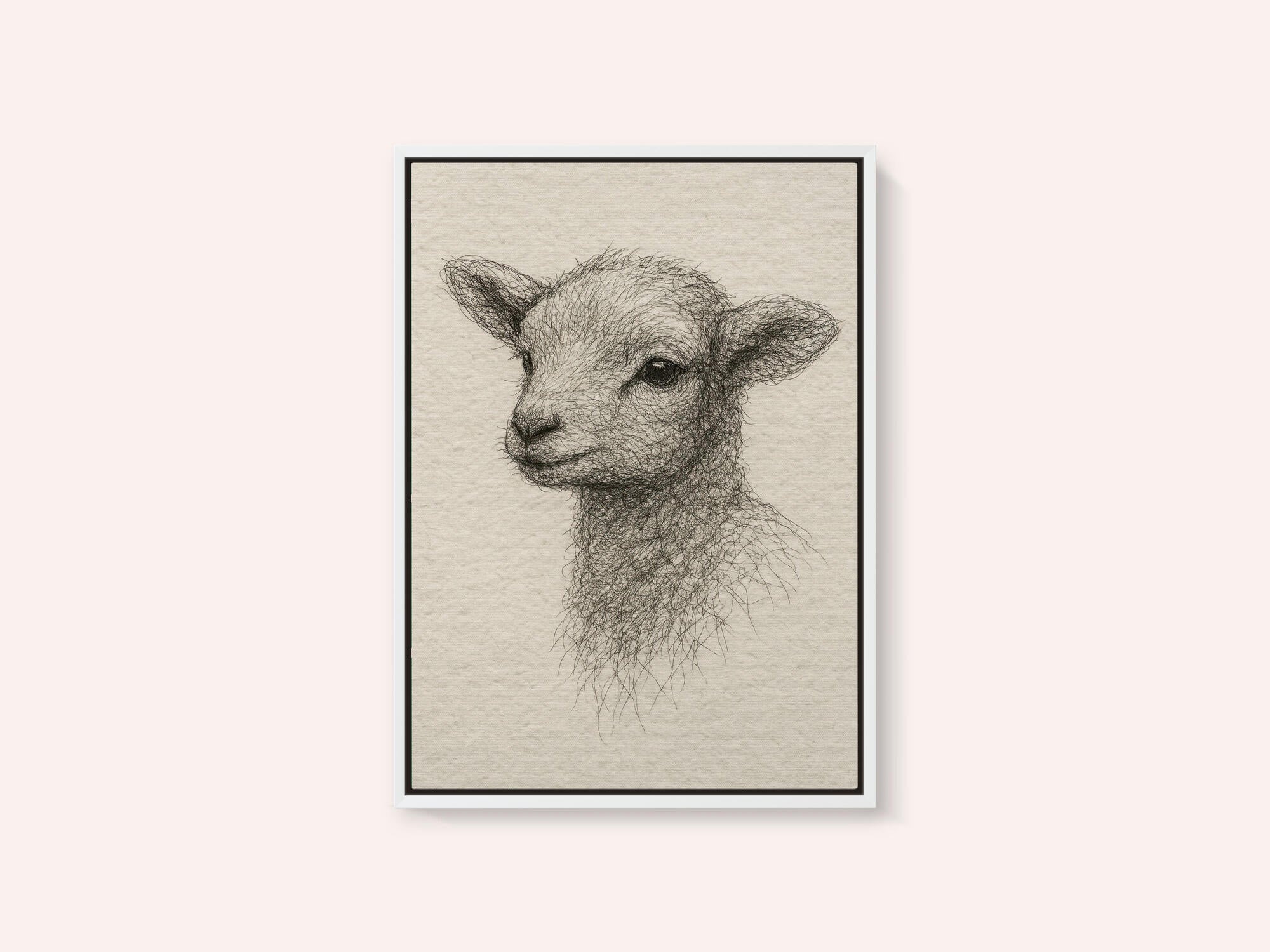 Gentle Lamb Drawing