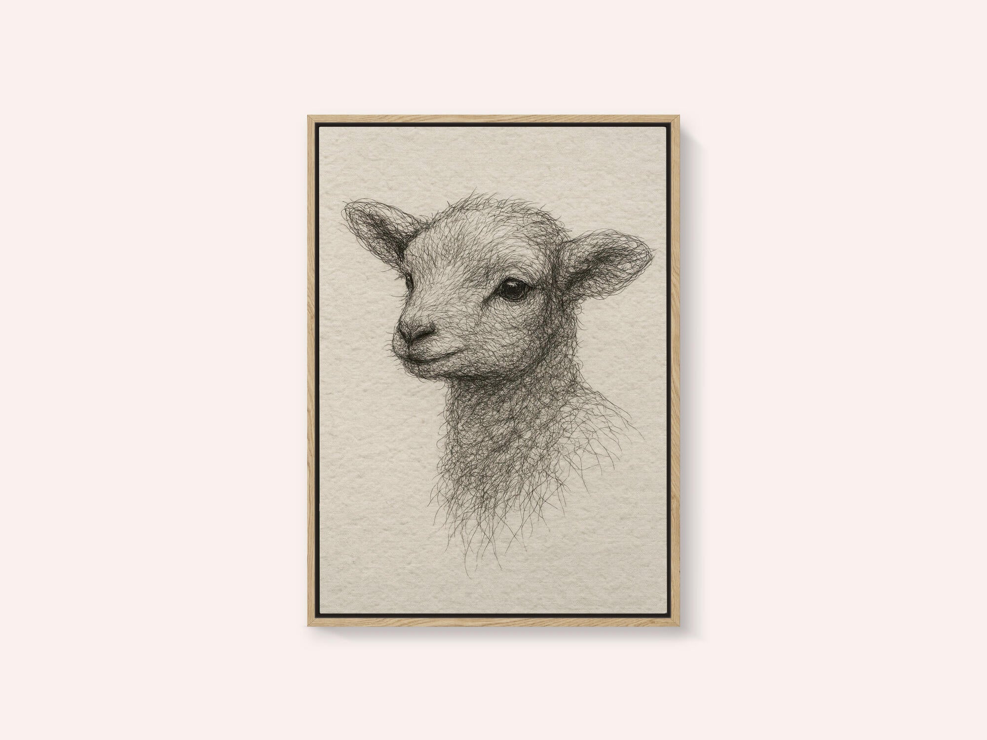 Gentle Lamb Drawing