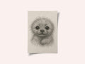 Fluffy Puppy Portrait