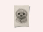 Fluffy Puppy Portrait