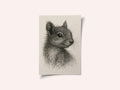 Woodland Squirrel Portrait