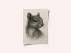 Woodland Squirrel Portrait