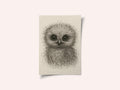 Cute Fluffy Baby Owl
