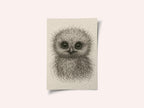 Cute Fluffy Baby Owl