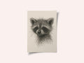 Curious Baby Raccoon