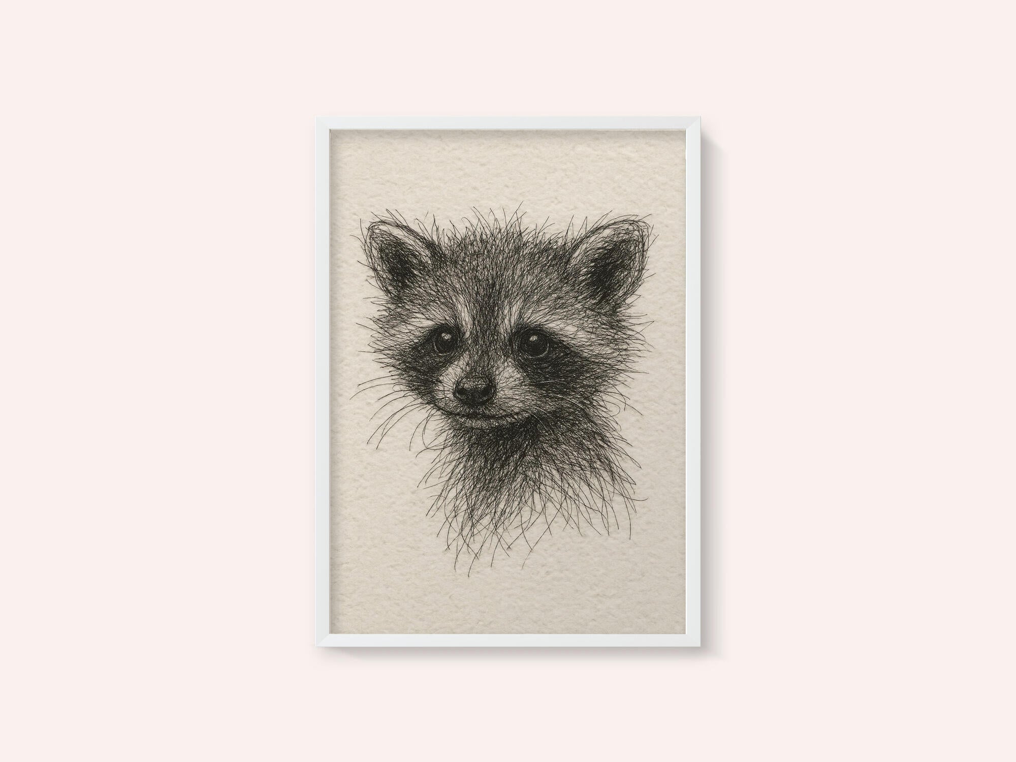 Curious Baby Raccoon