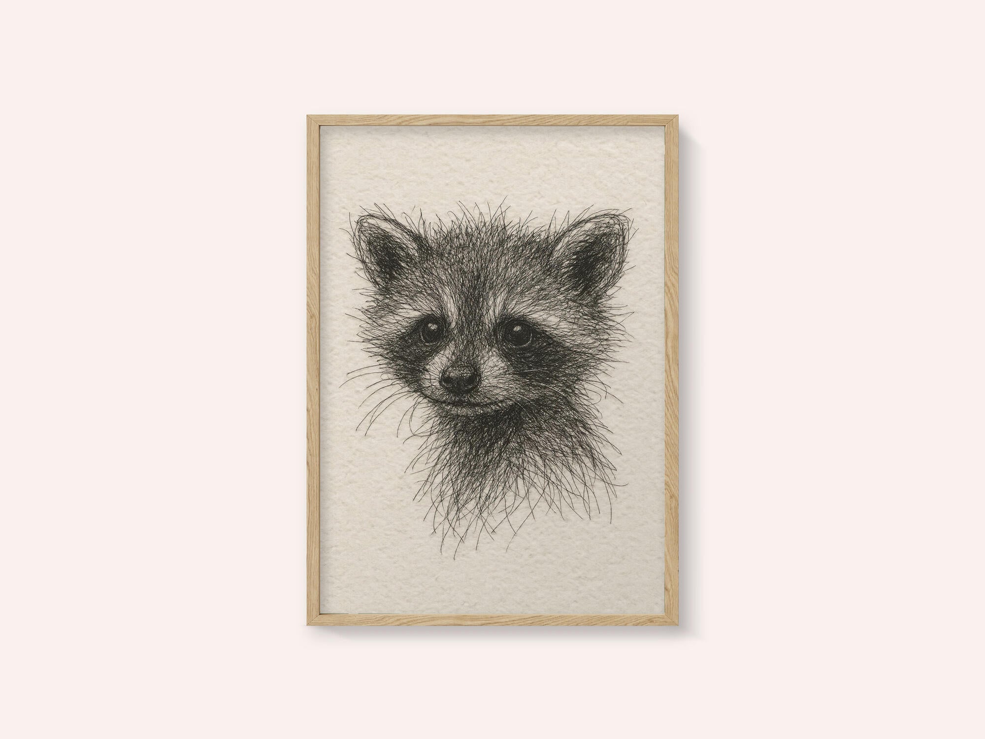 Curious Baby Raccoon