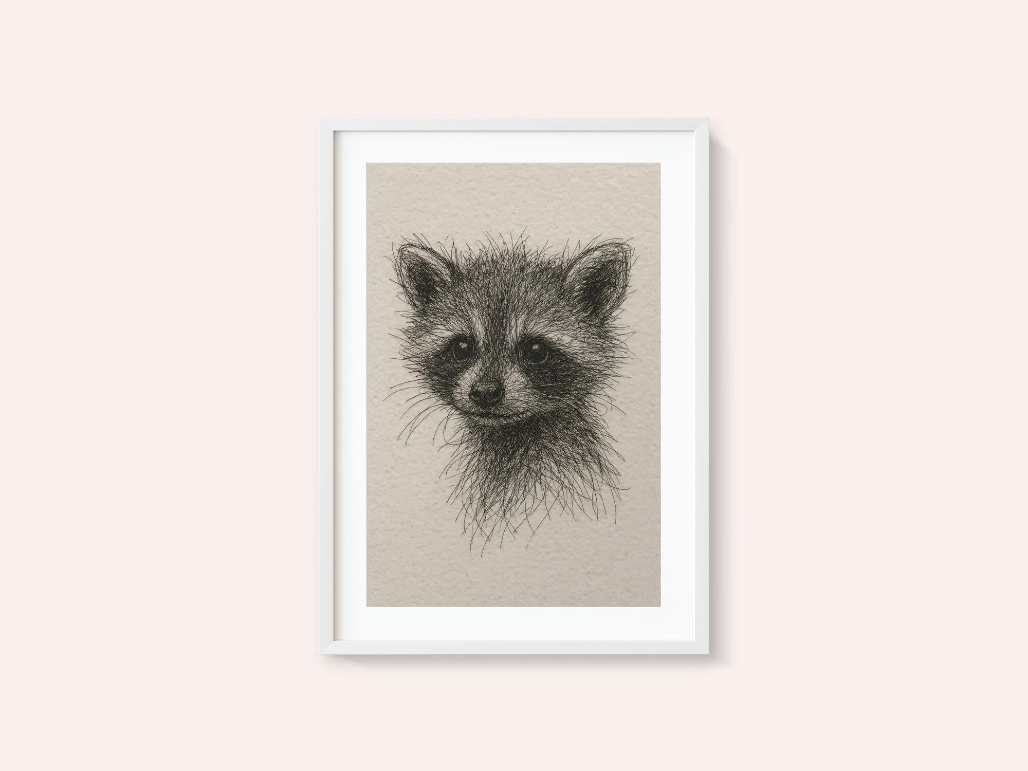 Curious Baby Raccoon