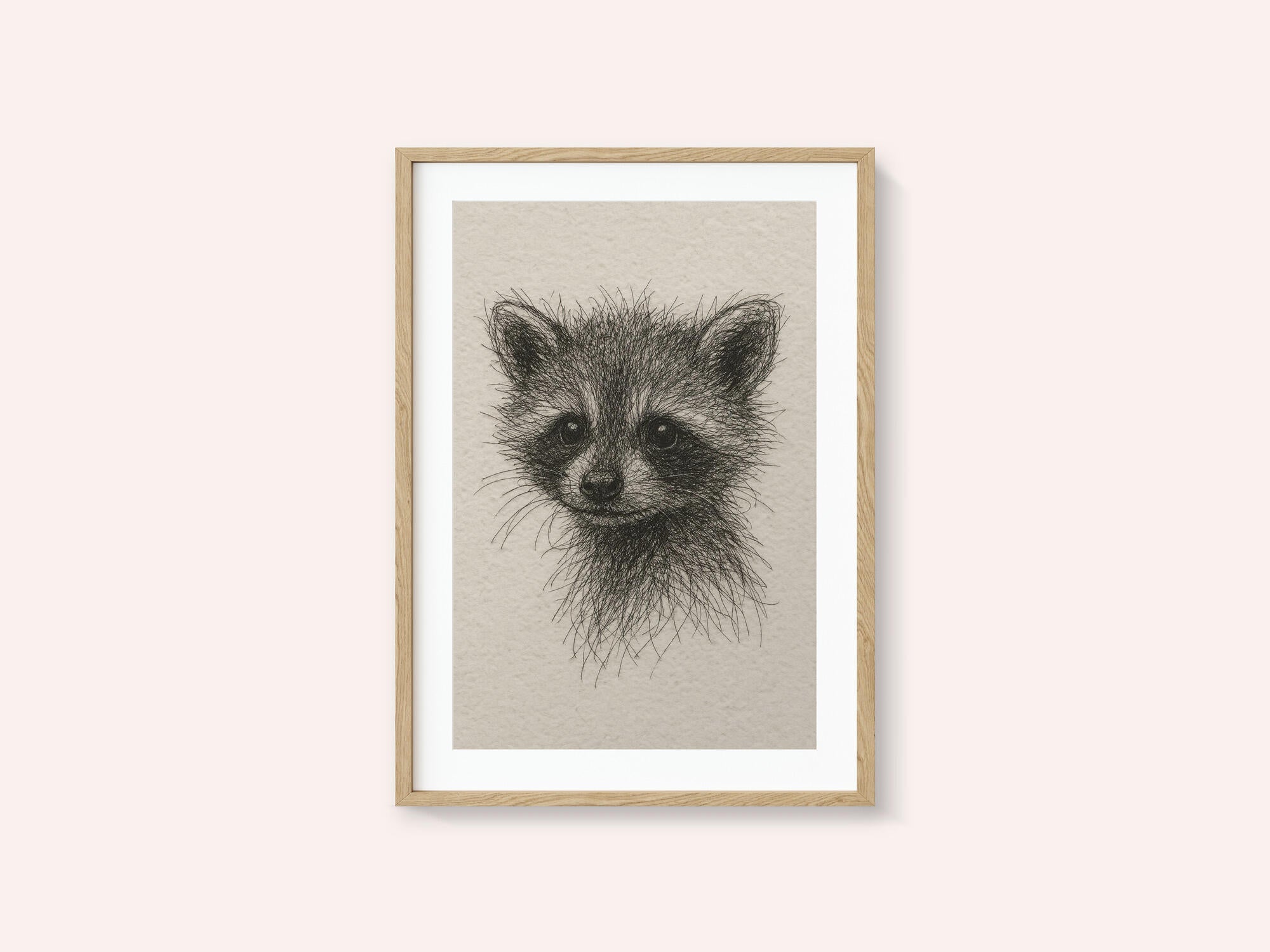 Curious Baby Raccoon
