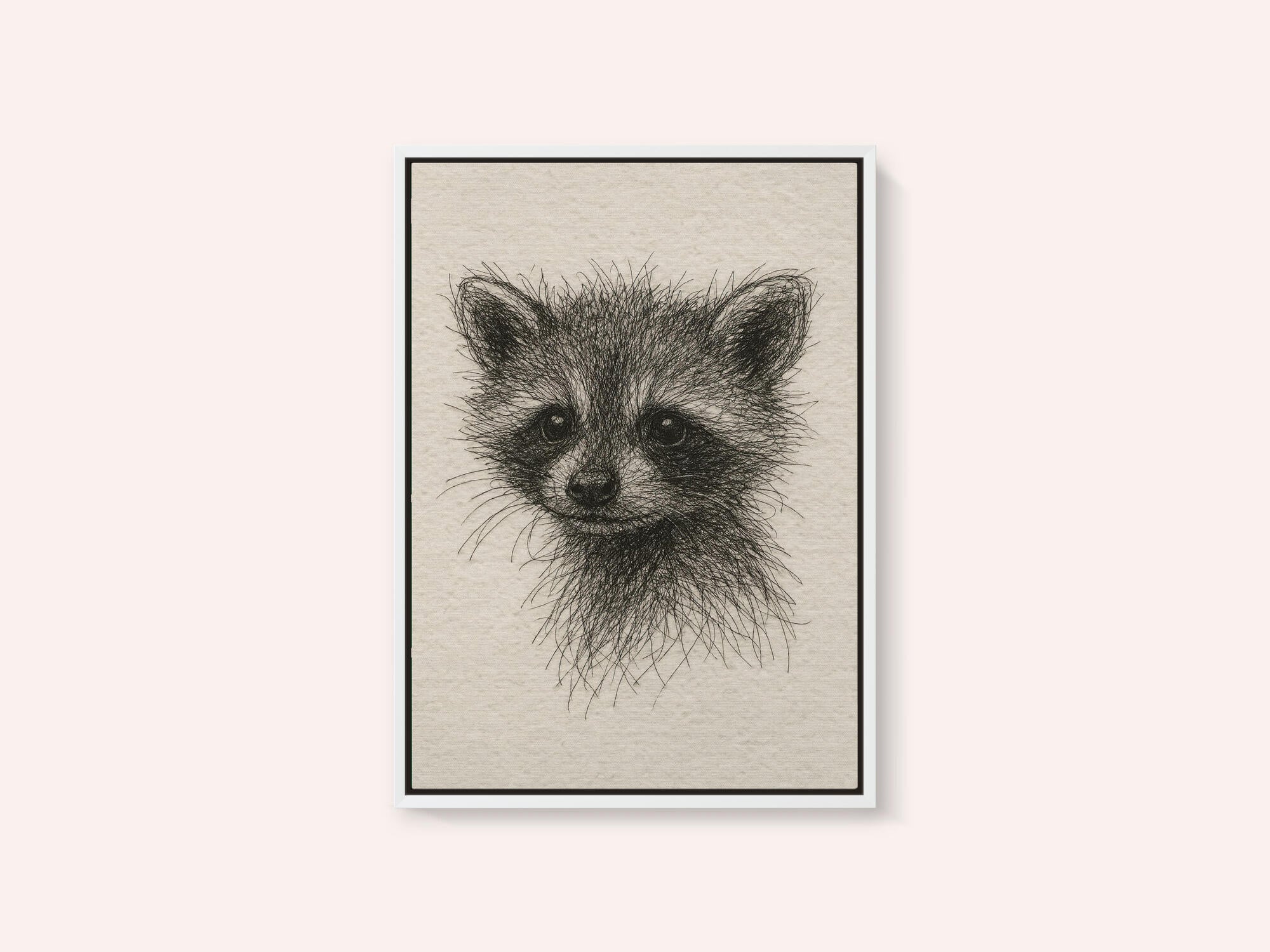 Curious Baby Raccoon