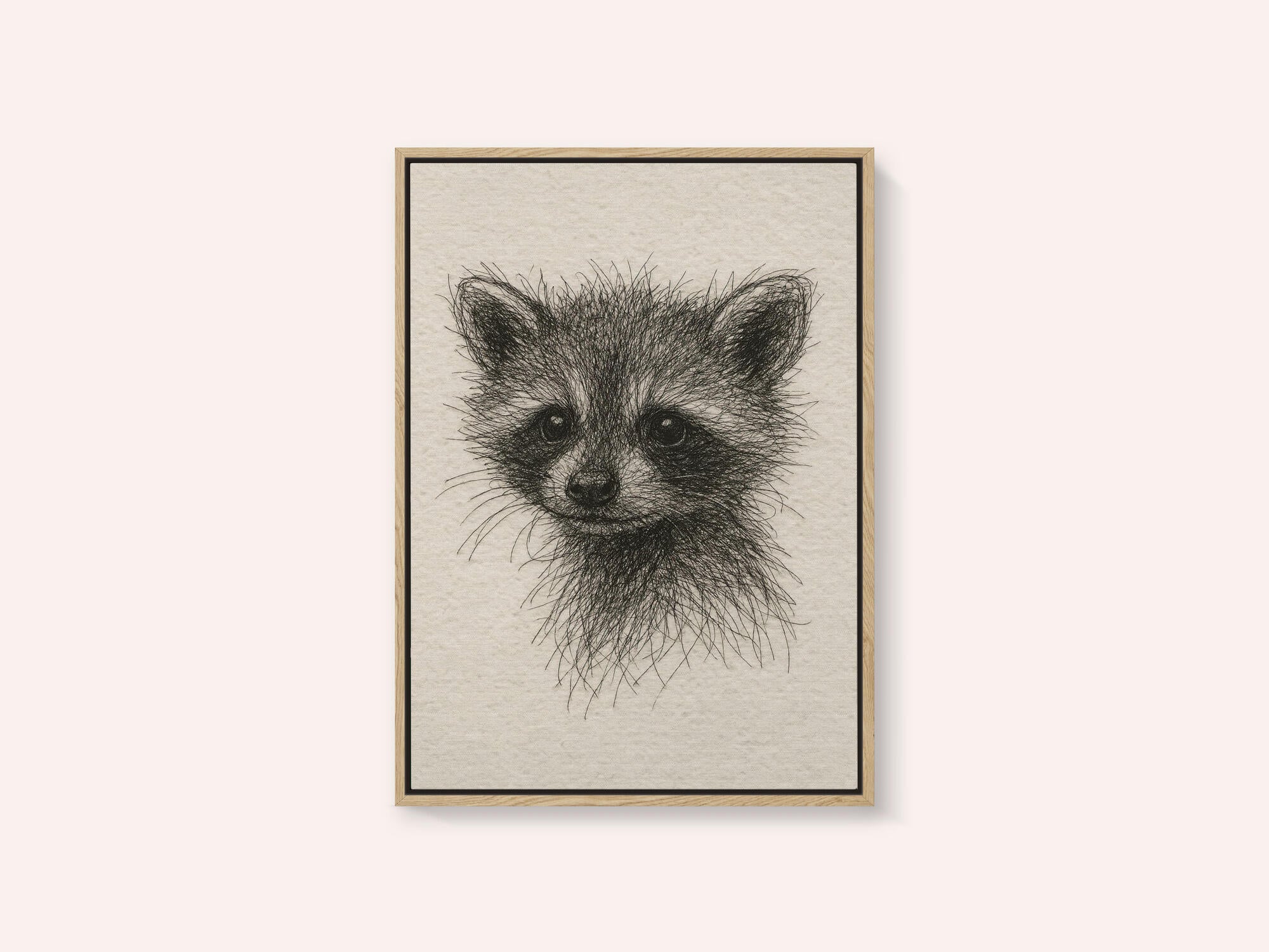 Curious Baby Raccoon