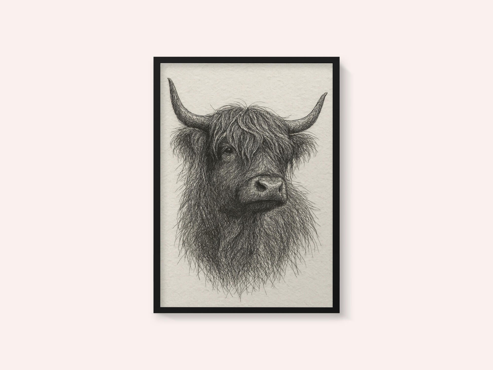 Shaggy Highland Bull