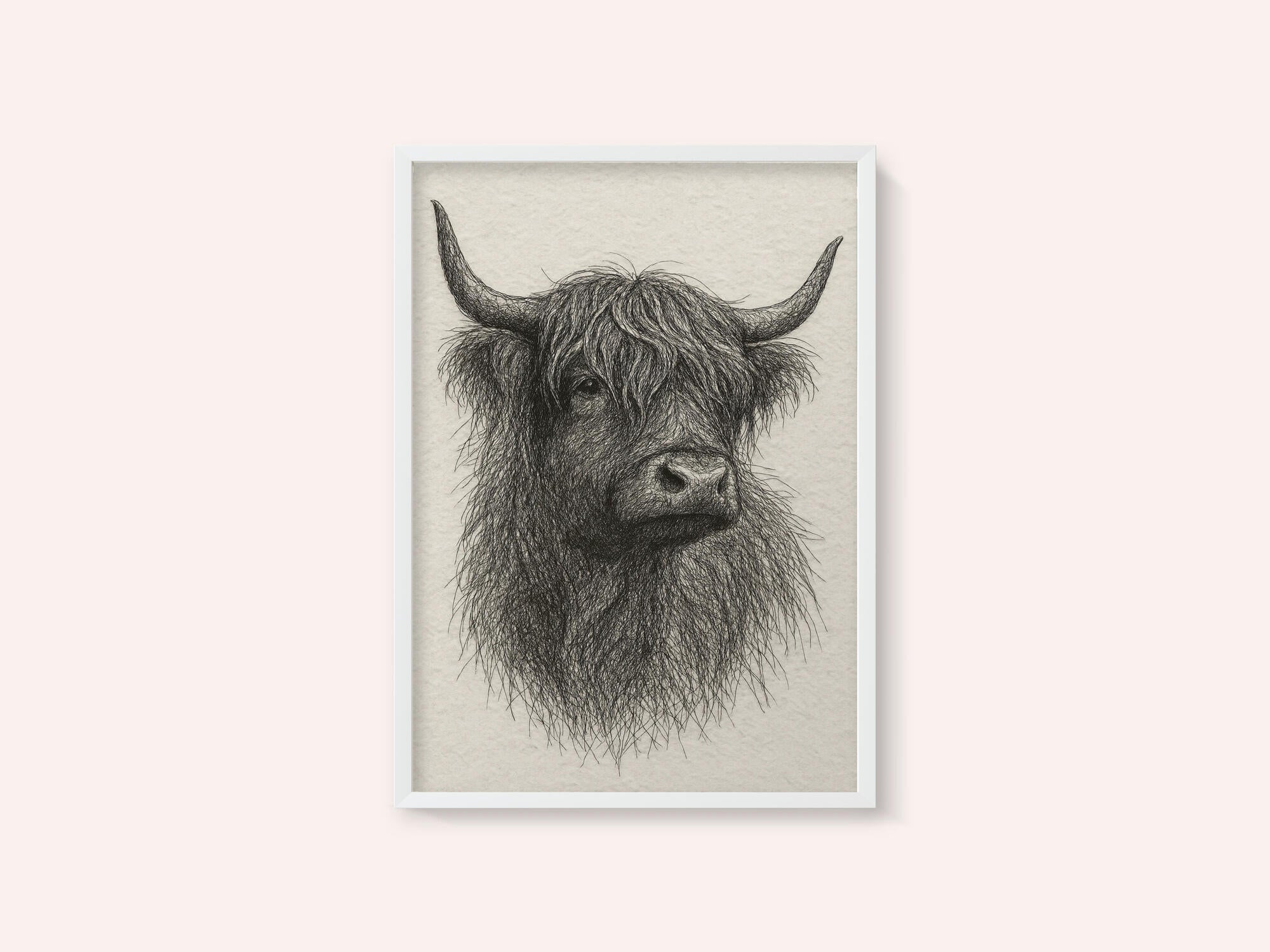 Shaggy Highland Bull
