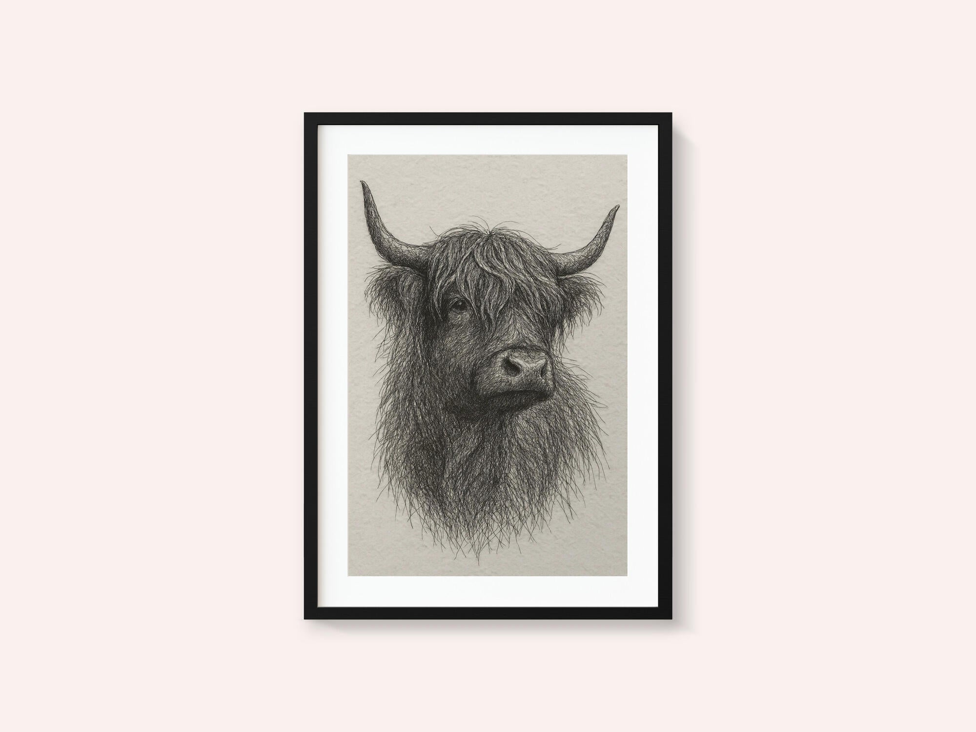 Shaggy Highland Bull