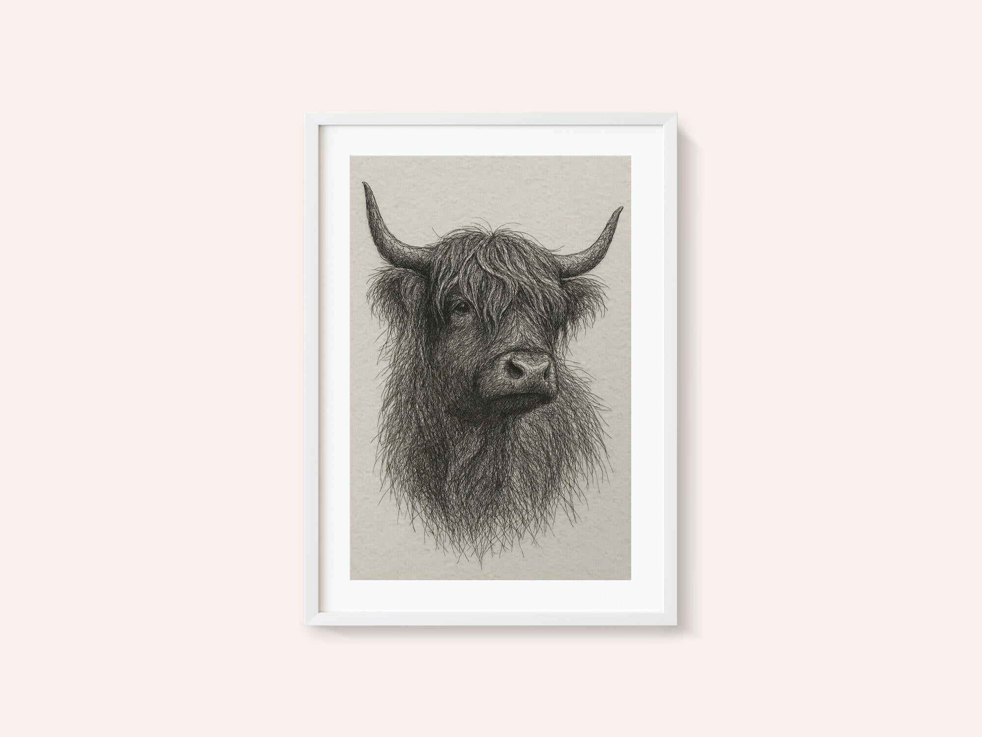 Shaggy Highland Bull