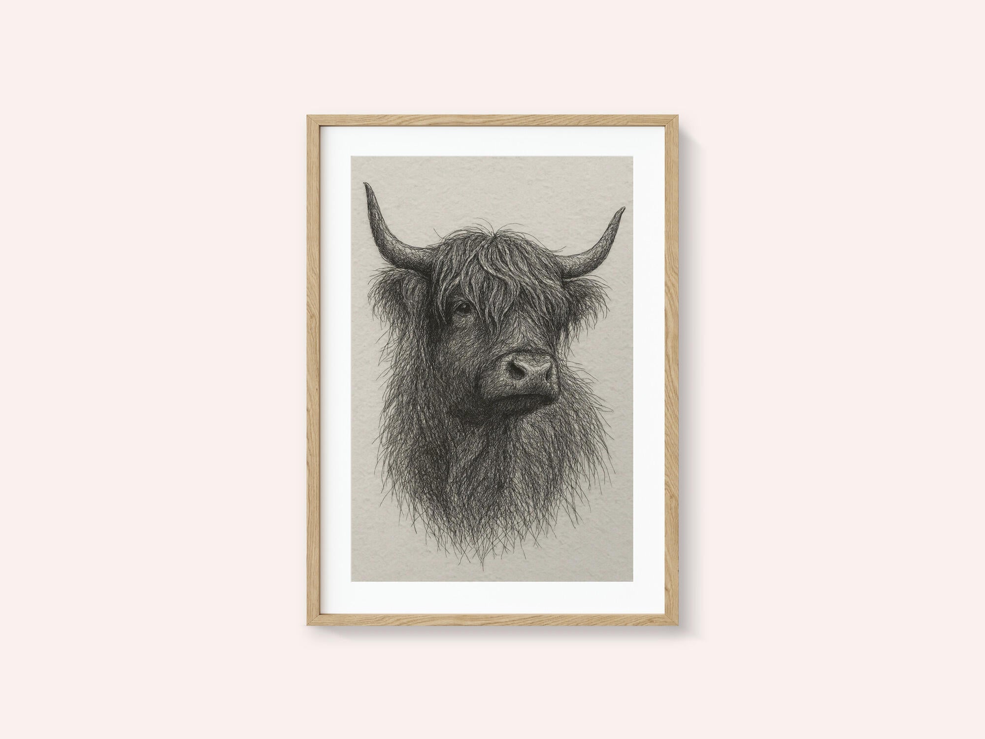 Shaggy Highland Bull