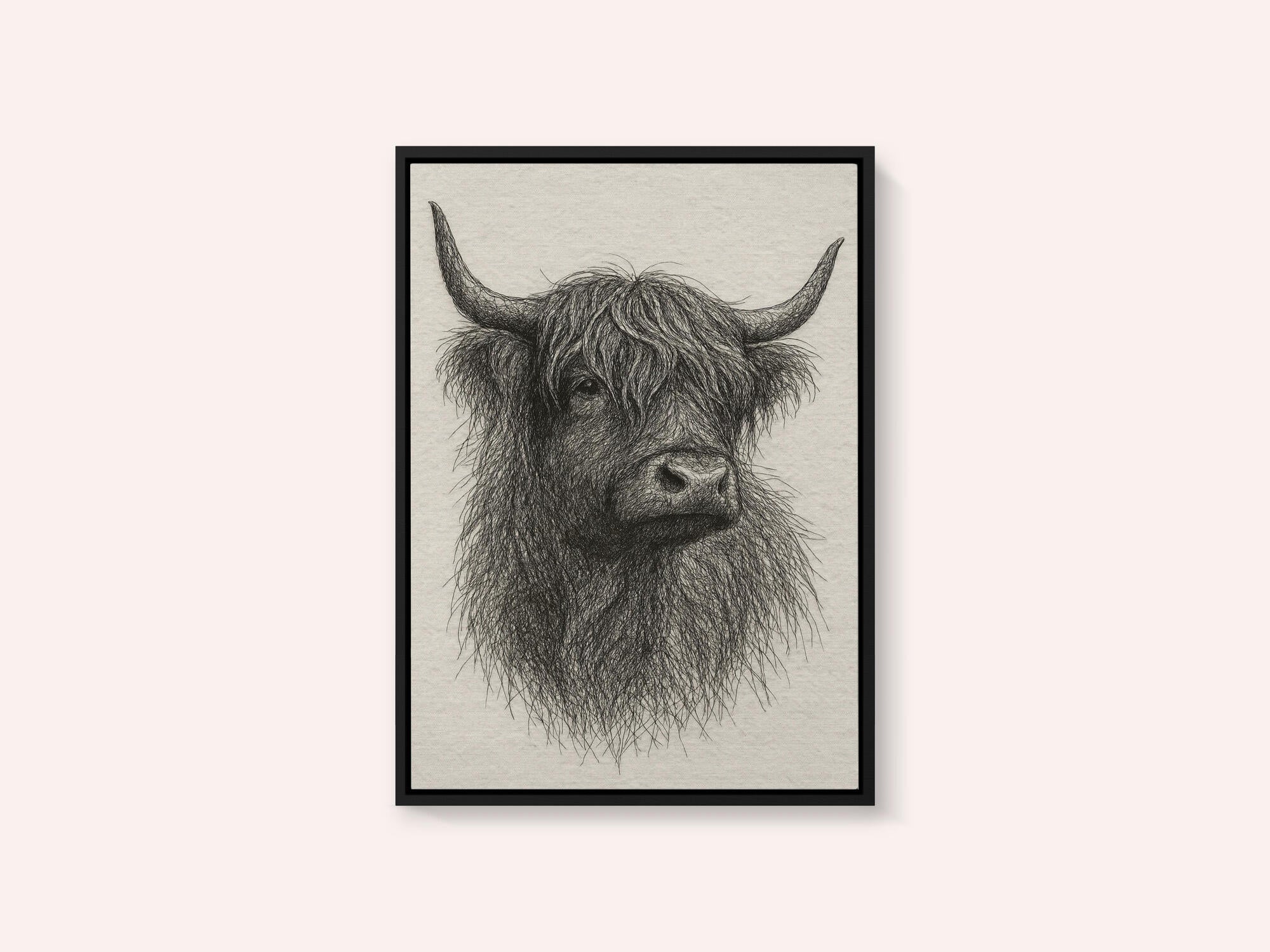 Shaggy Highland Bull
