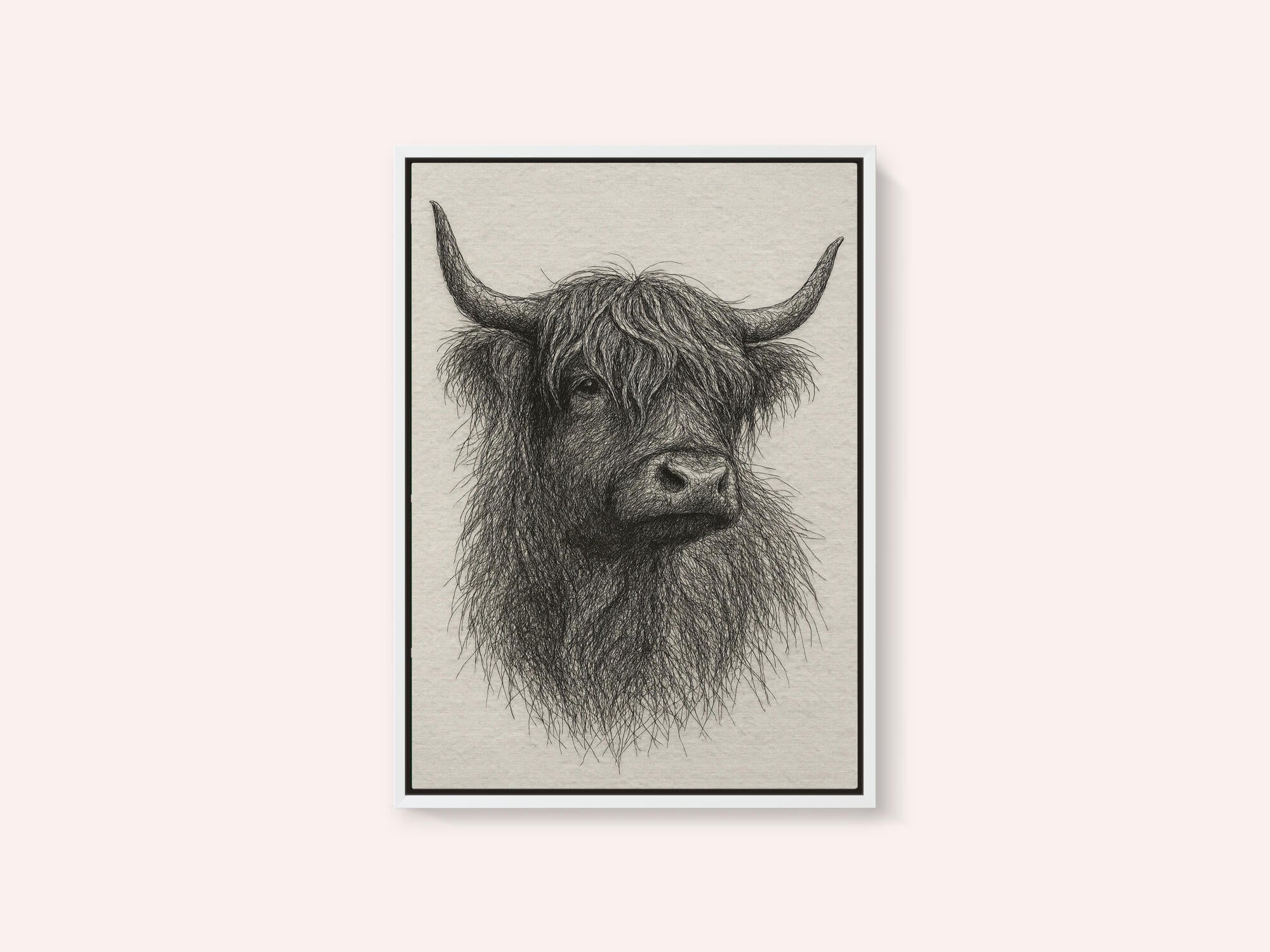 Shaggy Highland Bull