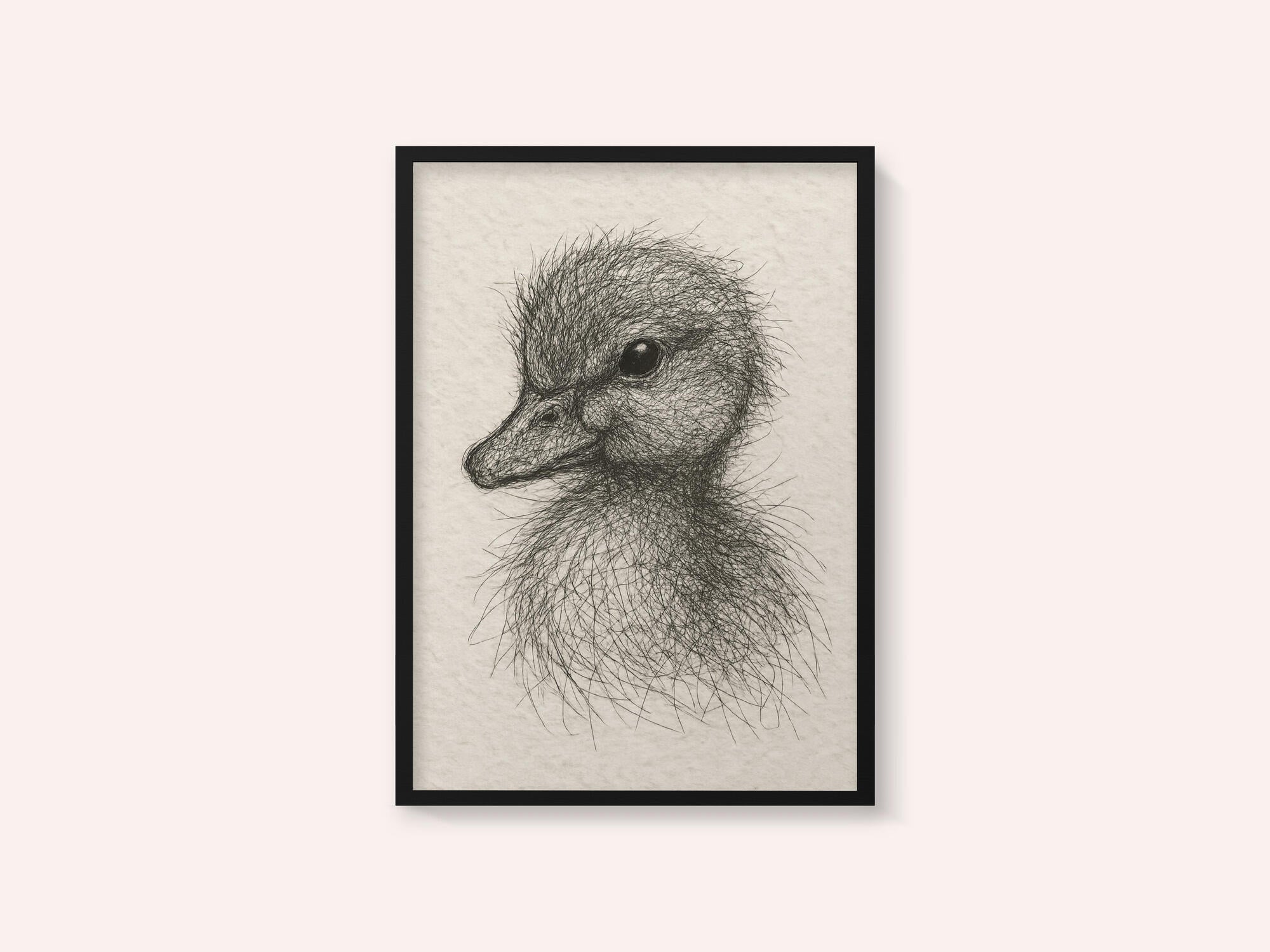 Fluffy Duckling Sketch