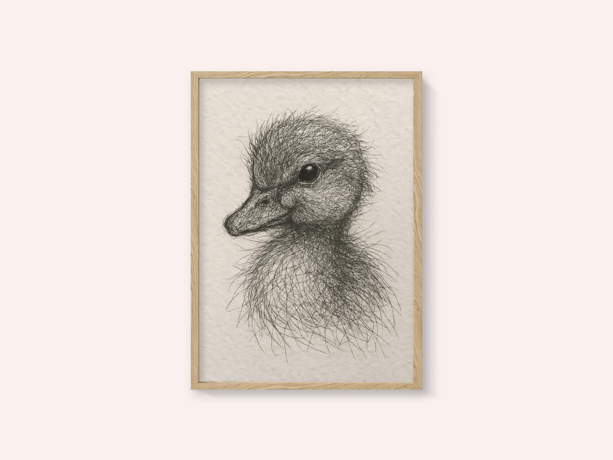 Fluffy Duckling Sketch