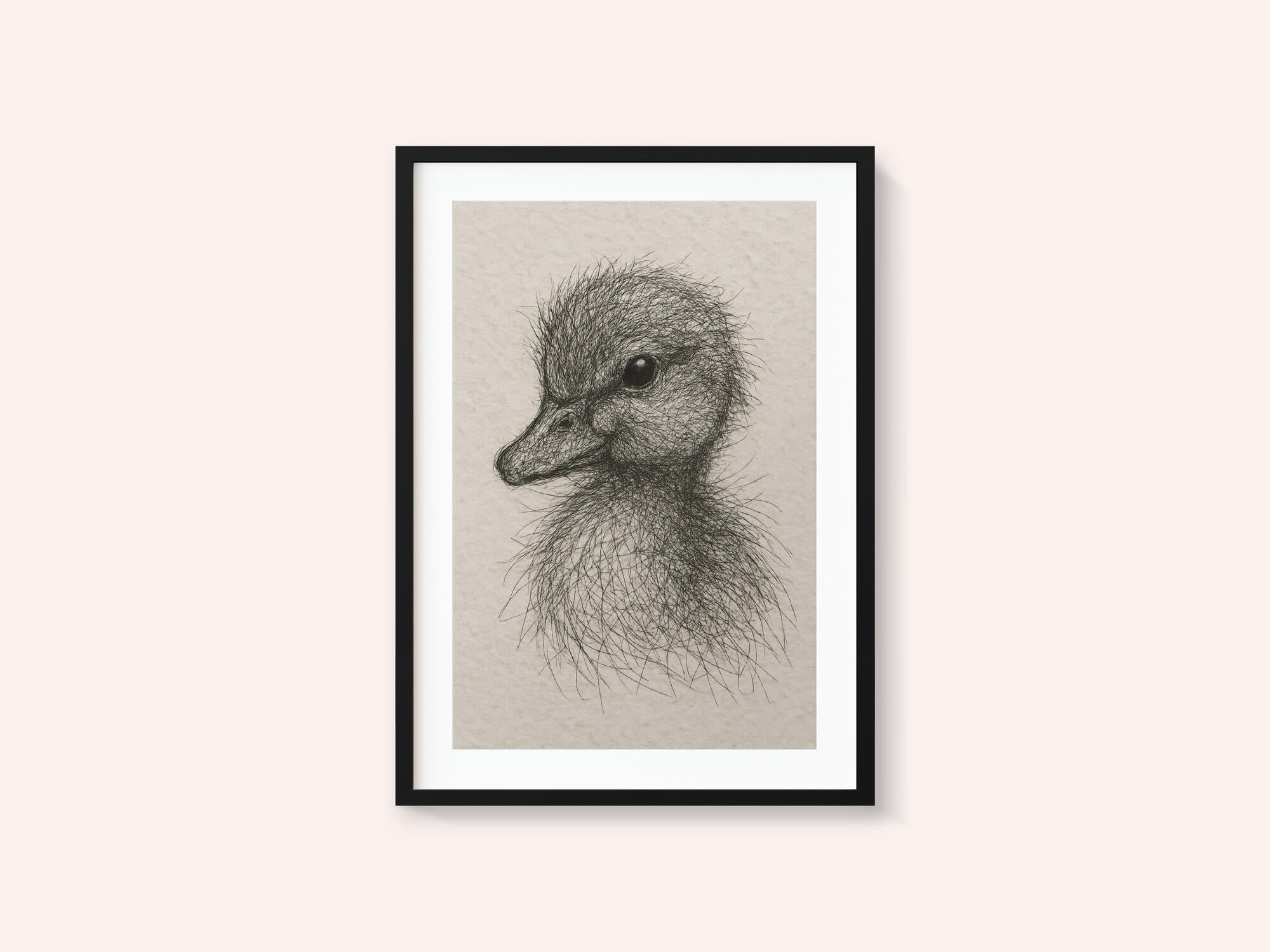 Fluffy Duckling Sketch