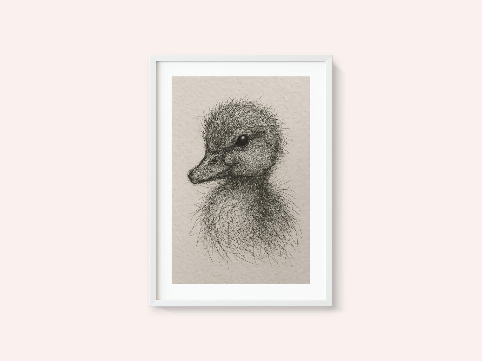 Fluffy Duckling Sketch