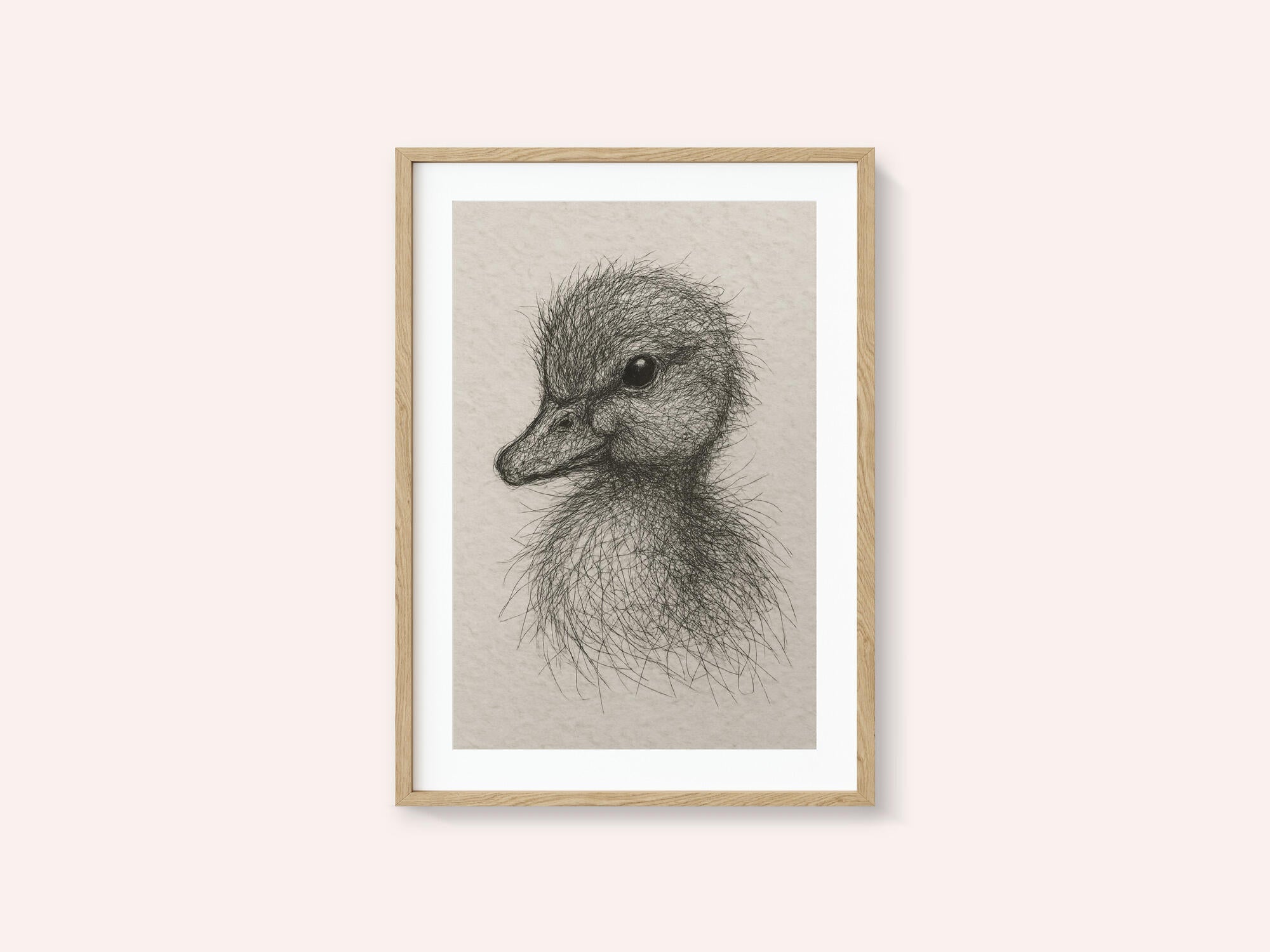 Fluffy Duckling Sketch