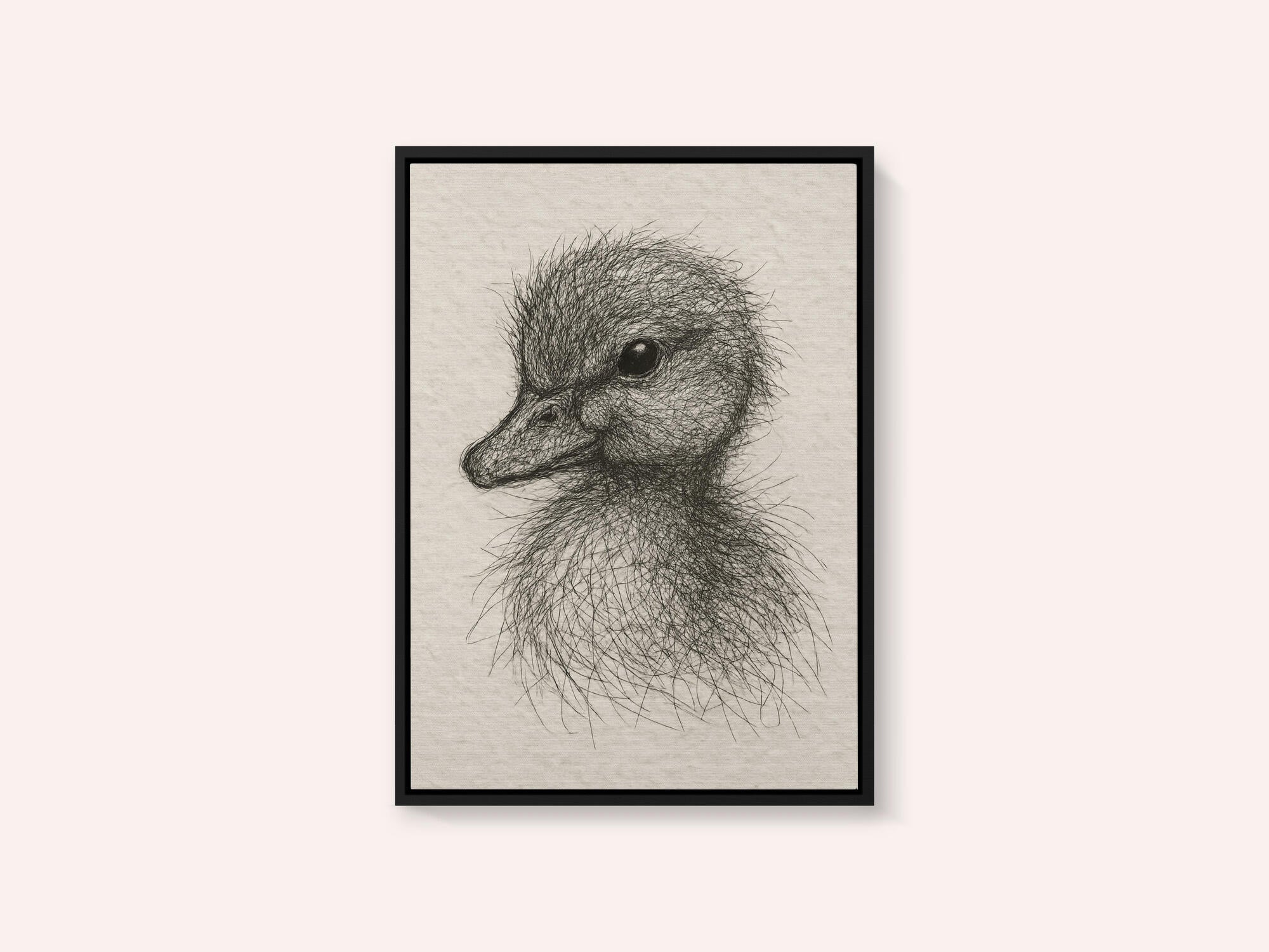 Fluffy Duckling Sketch