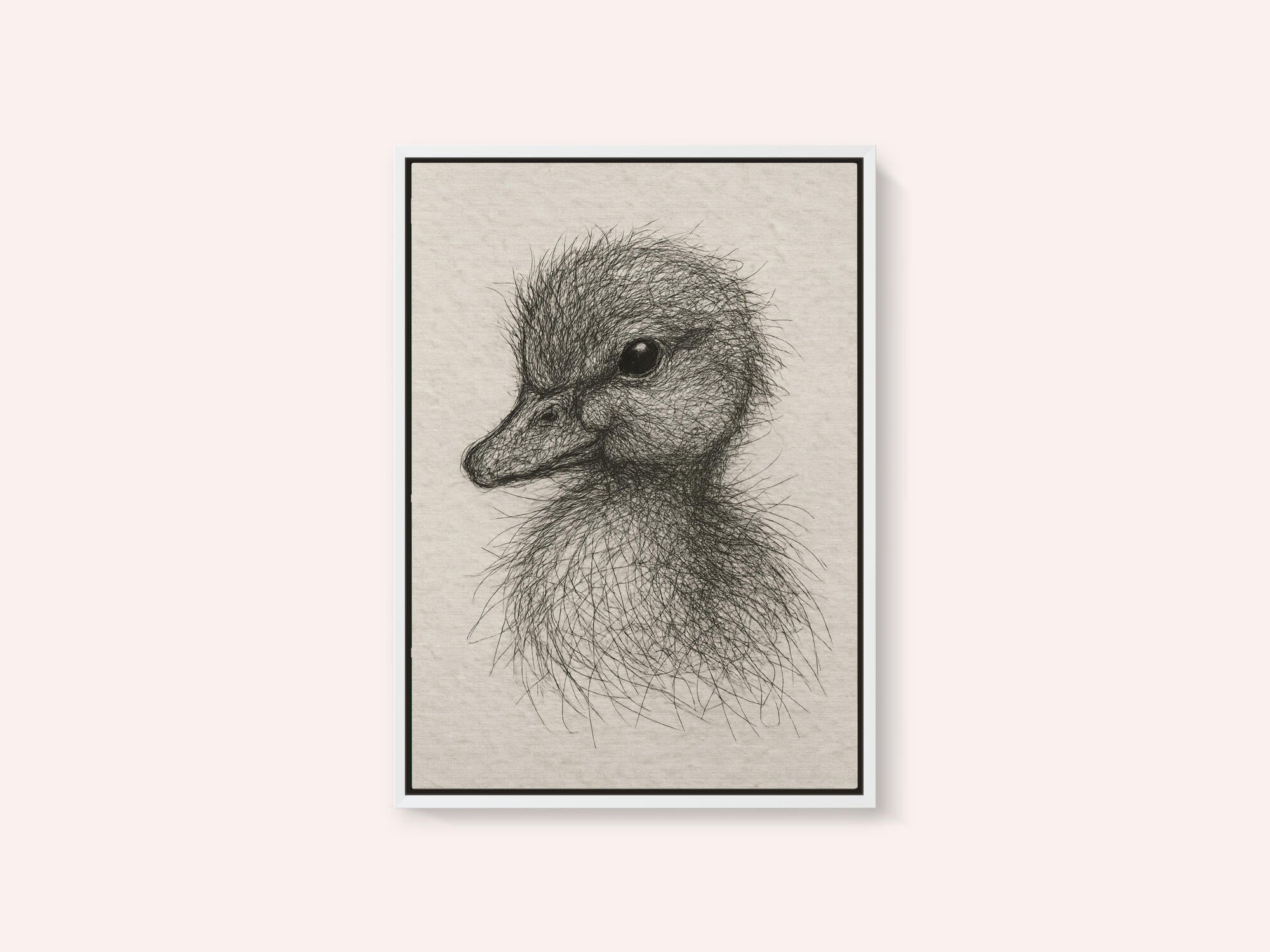 Fluffy Duckling Sketch