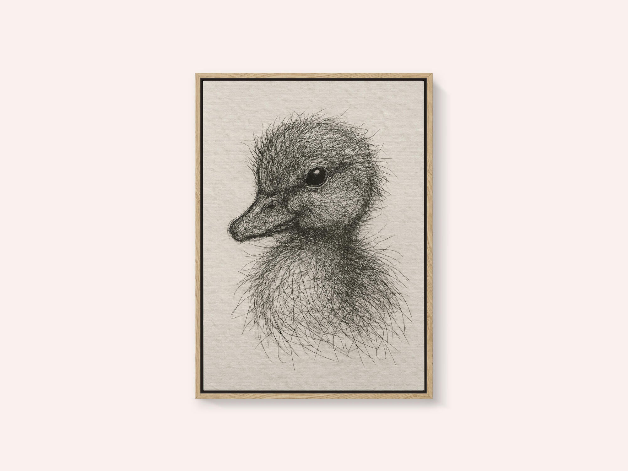 Fluffy Duckling Sketch
