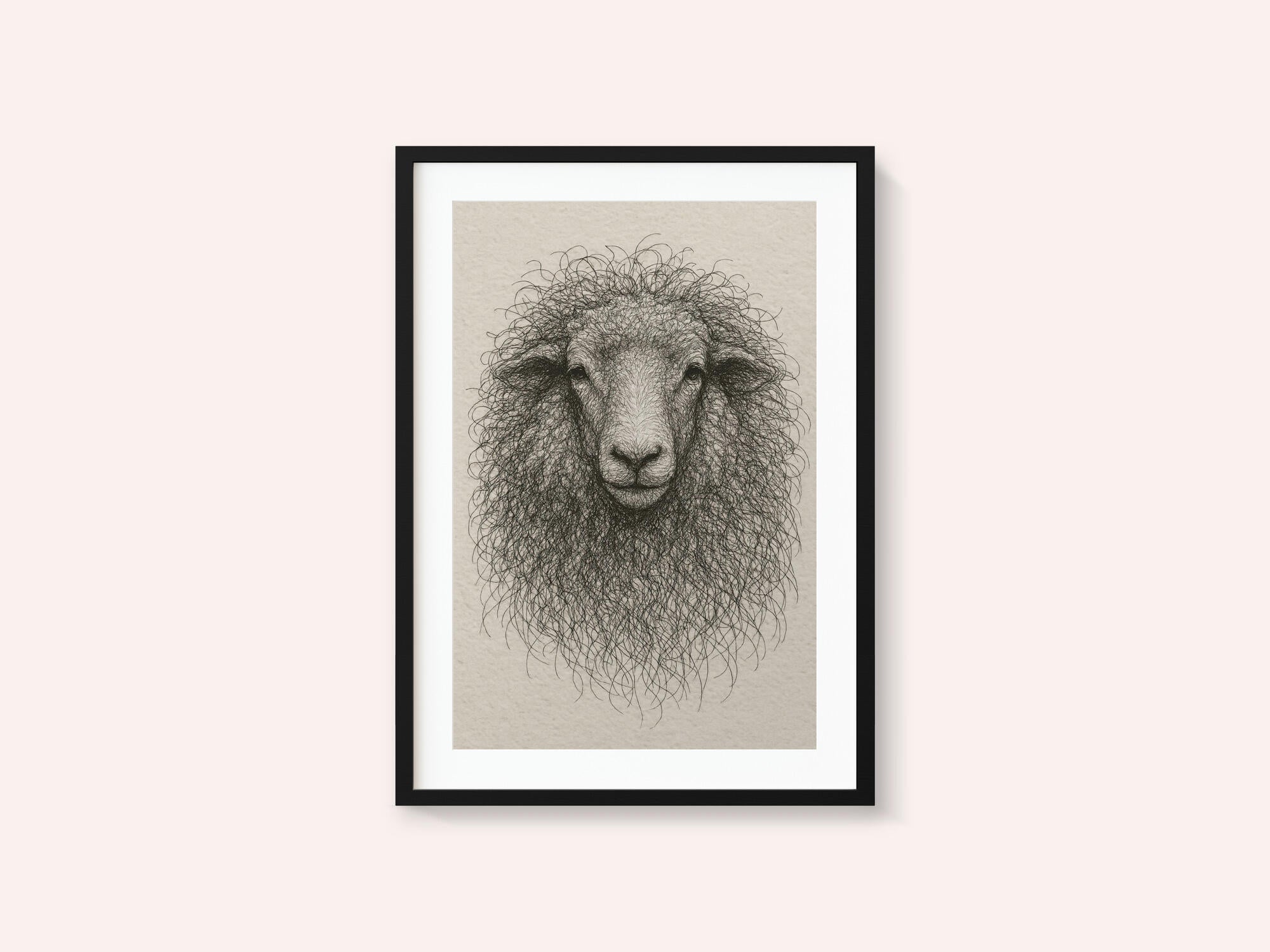 Textured Wool Sheep
