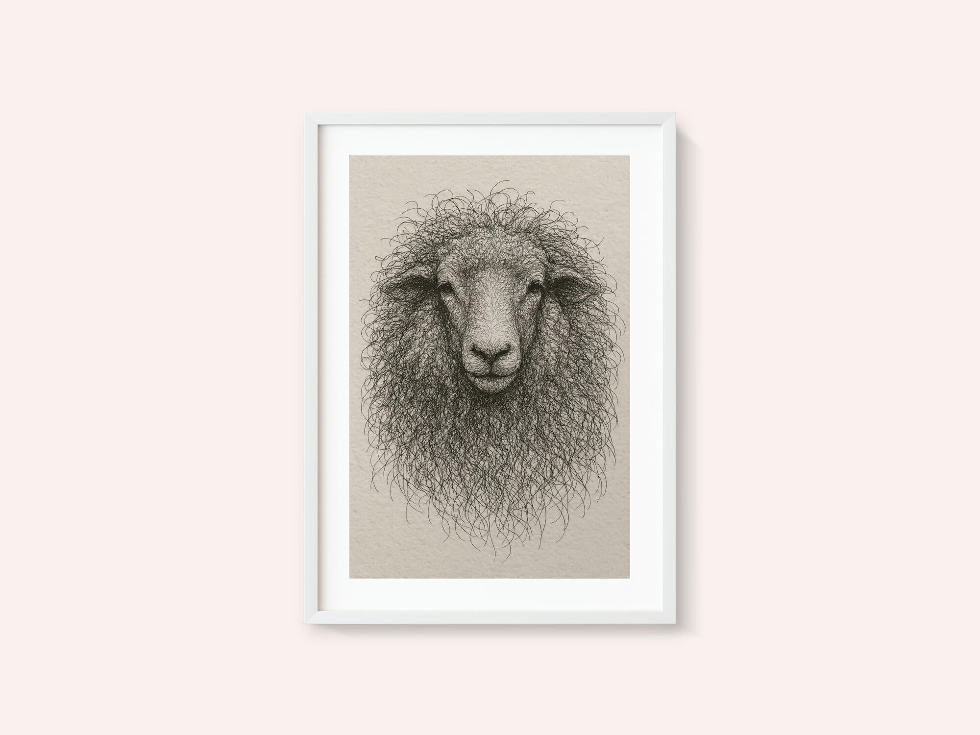 Textured Wool Sheep