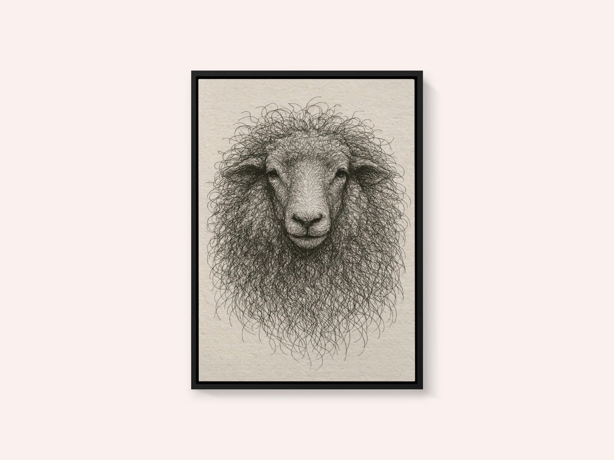 Textured Wool Sheep