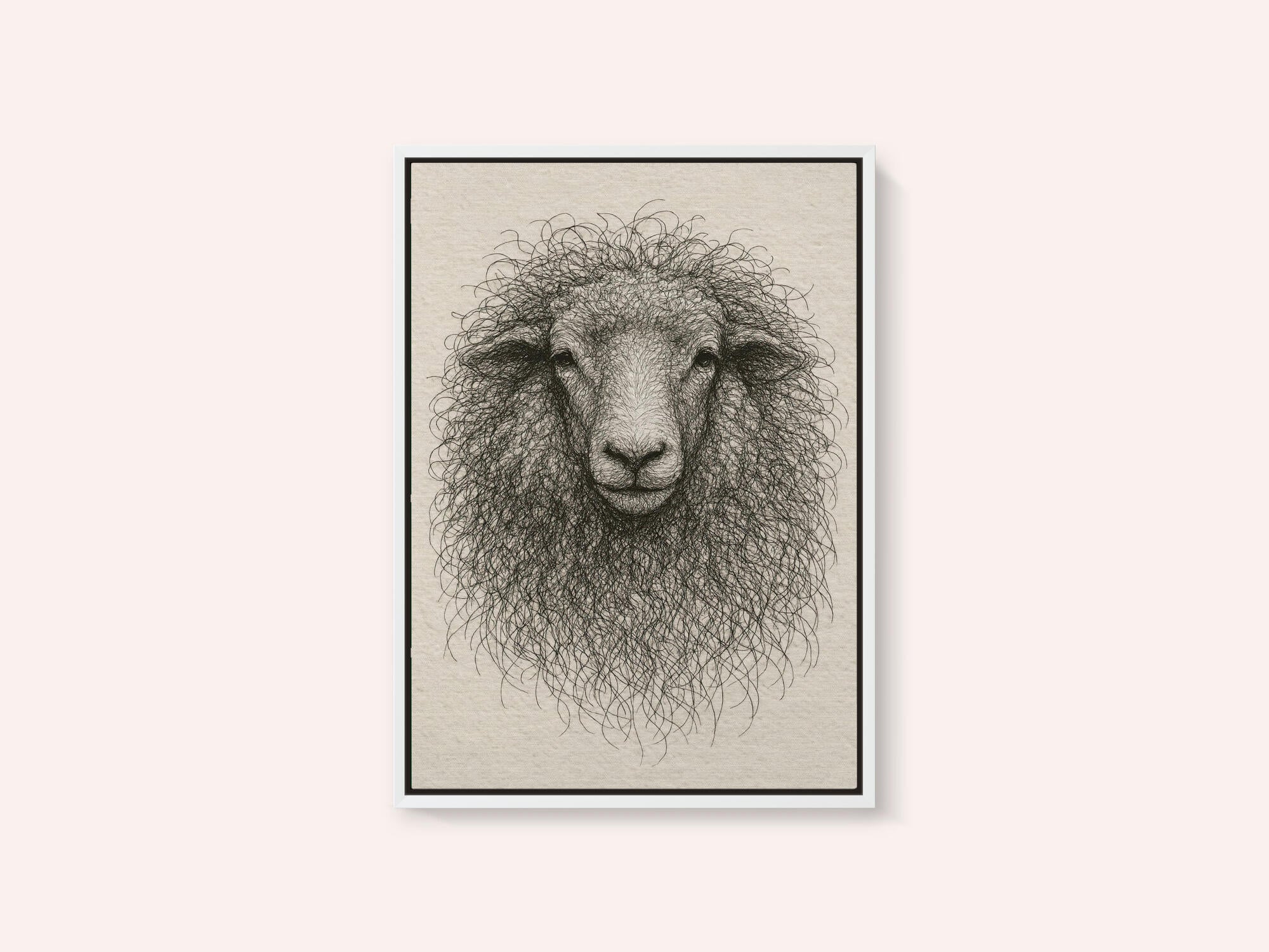 Textured Wool Sheep