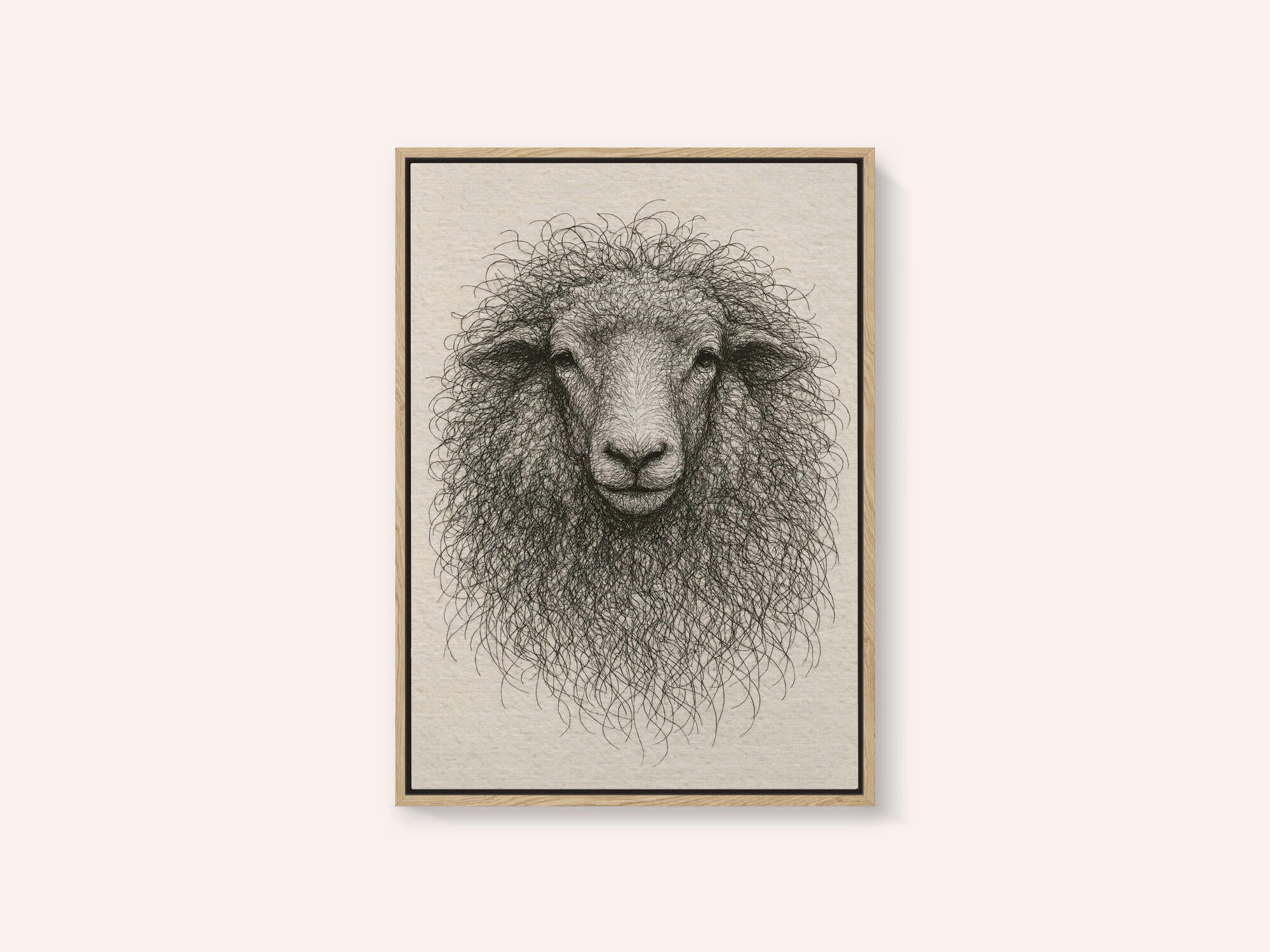 Textured Wool Sheep