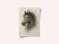 Wild Horse Sketch