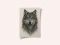 Detailed Wolf Drawing