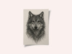 Detailed Wolf Drawing